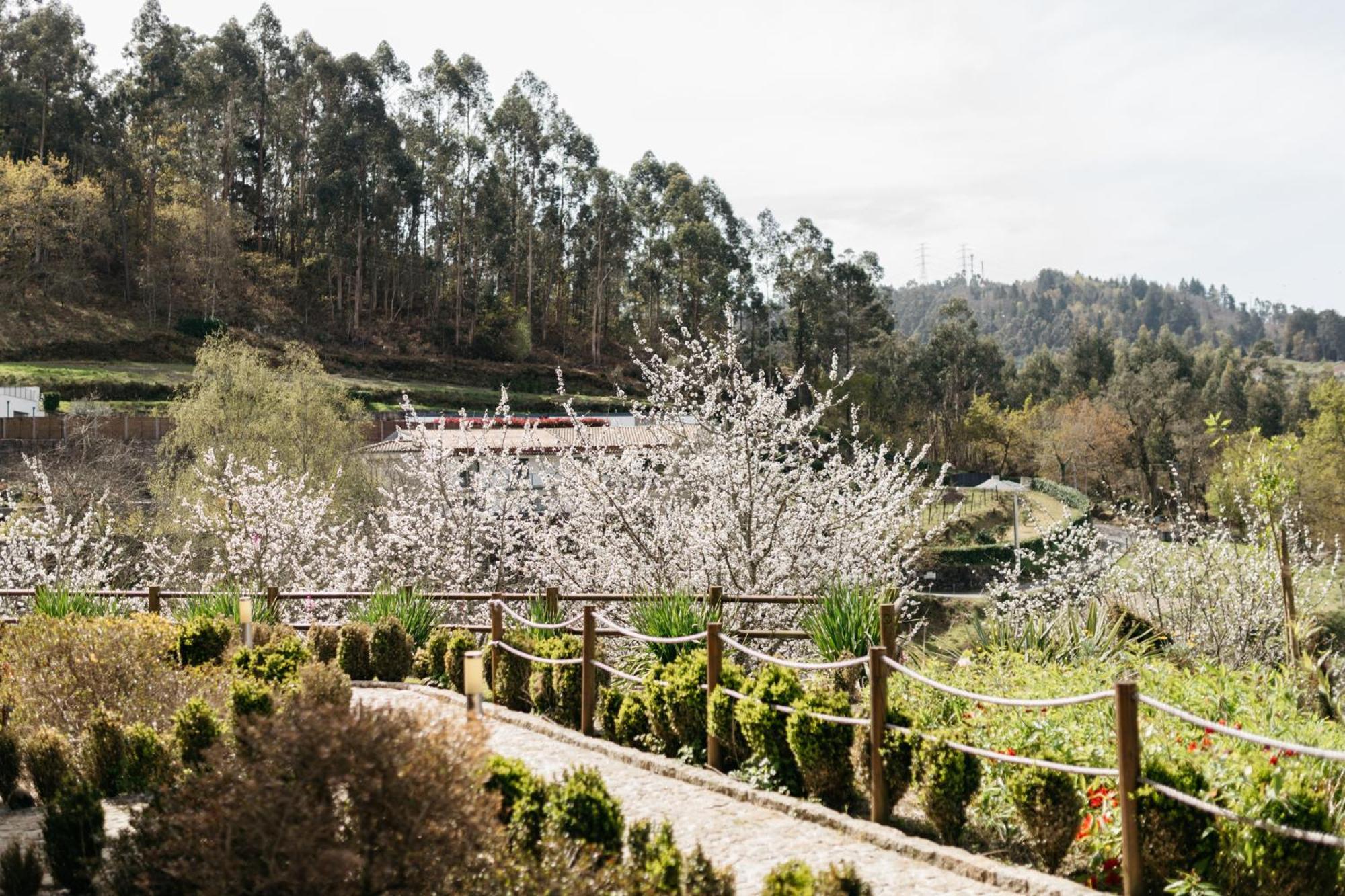 Hotel Quinta Do Bento Vieira do Minho Exterior foto